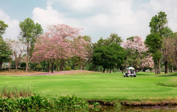 Flora Ville Golf & Country Club Flora Ville Golf & Country Club